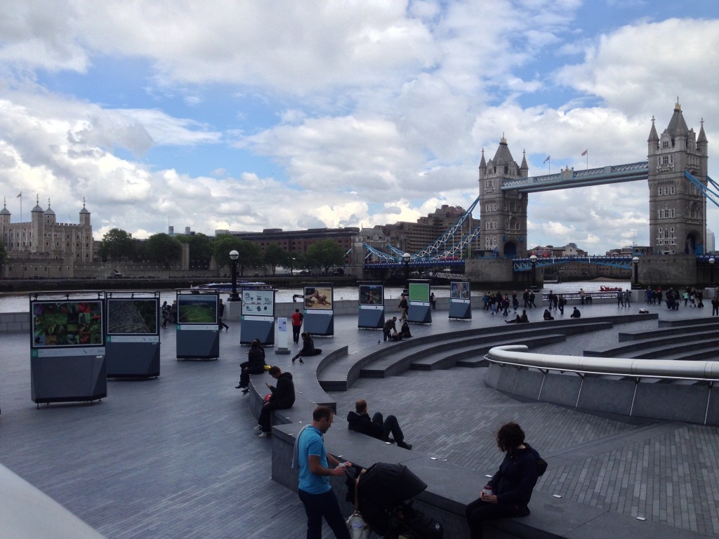 View from the top of the scoop with Tower Bridge in the background.