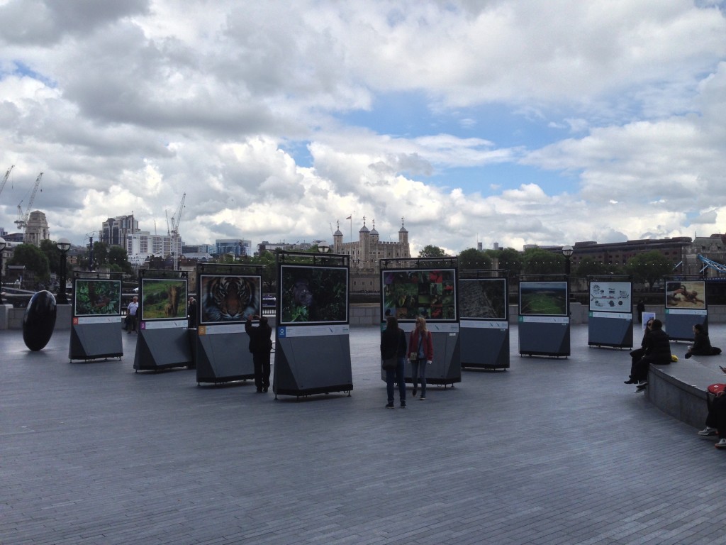 Wide shot showing most of the frames, plus the tower of London